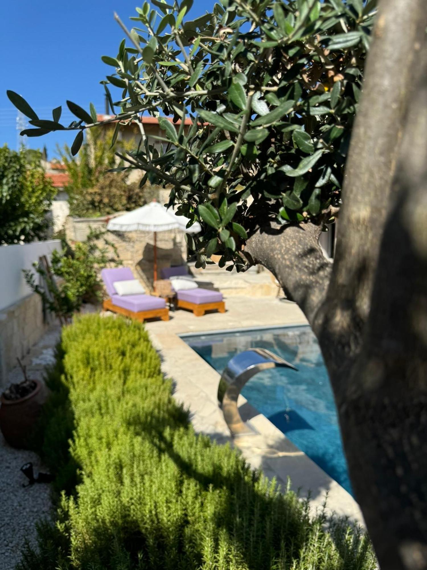 Fig&Olive Luxury One Bedroom Boutique In Pachna Limassol Eksteriør billede